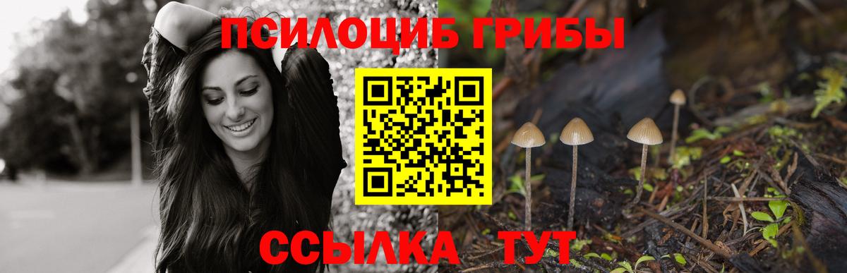 Галлюциногенные грибы MAGIC MUSHROOMS  Вход с VPN  Галлюциногенные грибы мицелий  где продают   Елец 